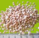 Nawóz łączy w sobie zalety soli potasowej i kizerytu, zwłaszcza że zawiera K i Mg w proporcjach najkorzystniejszych dla plonowania roślin.