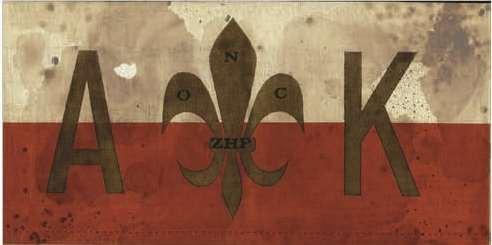 SZARYCH SZEREGÓW W