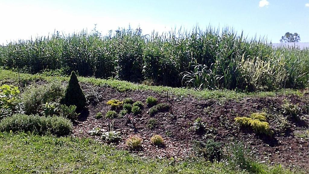 pochodzące od około 35 40 osób. Schemat blokowy oczyszczalni ścieków przedstawiono na rysunku 1.