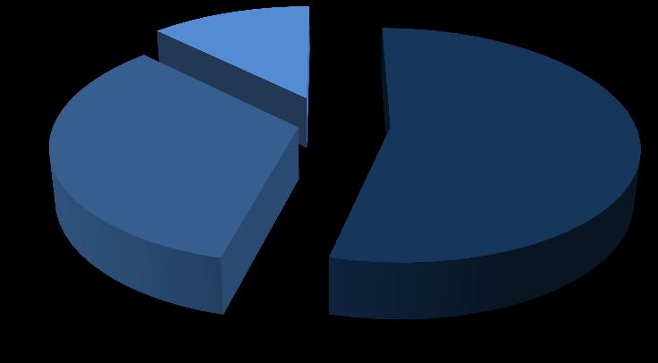 19 Przychody Spółek Grupy Kapitałowej Projprzem S.A. Struktura przychodów Spółek Grupy PROMstahl Polska Sp. z o.o. 12,6% PROJPRZEM S.A. 54,0% PROMstahl GmbH 33,4% Przychody Spółek (tys.