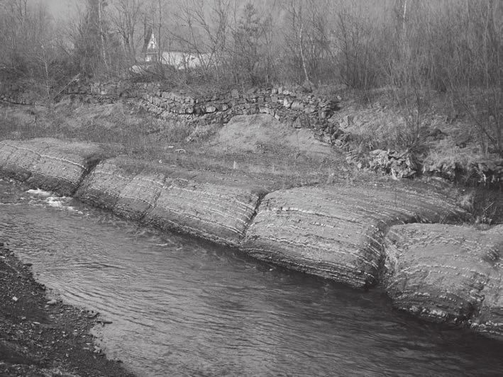 Problemy ochrony geostanowisk na obszarze Pasma Polic 139 Ryc. 5. Rozcinanie warstw hieroglifowych w dolinie Skawicy w 2013 r. (fot. P. Franczak). Fig. 5. Trenching Hieroglyphic layers in Skawica Valley in 2013 (photo by P.