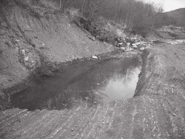 140 P. Franczak Ryc. 6. Rynna eworsyjna powstała w obrębie geostanowiska Gorące Skały w 2010 r. (fot. P. Franczak).