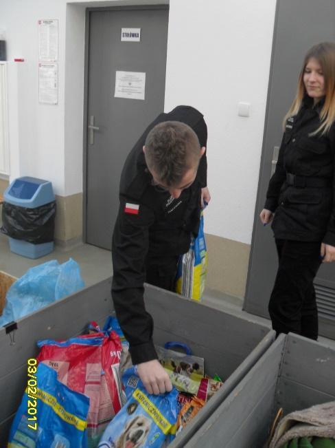 Akcja nr 6 Zbiórka karmy, kocy, smyczy dla zwierząt ze schroniska w Koszalinie.