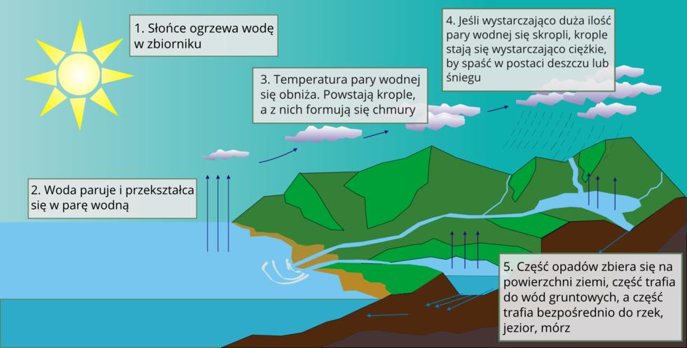 Elektryzowanie ciał przez tarcie, dotyk i indukcję Włosy mają nadmiar jedego rodzaju ładunków i się wzajemnie odpychają ale przyciągane są przez grzebień, który naelektryzował się ładunkiem