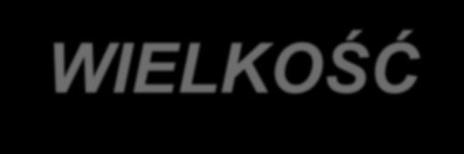 CZYNNIKI
