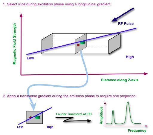 Jak zeskanować wybraną płaszczyznę Włączenie gradientu poprzecznego w fazie emisji, zmieni częstotliwości precesji i
