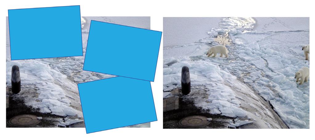 CLIL w praktyce Temat: The Arctics and Antarctica same or different? Wcześniejsza wiedza: uczeń ma podstawową wiedzę na temat regionów polarnych.
