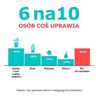 mnóstwo pomysłów jak