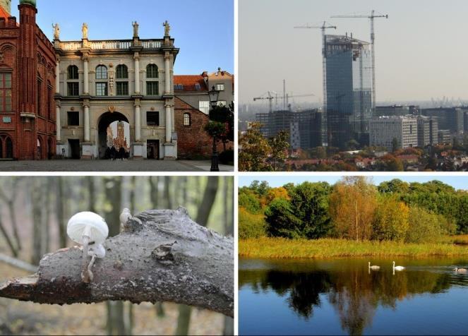 WYSTAWA Piękno Gdańska w obiektywie seniorów Zapraszamy na wernisaż wystawy fotograficznej "Piękno Gdańska w obiektywie seniorów".
