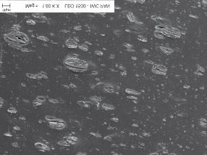 Rys. 20. Zdjęcia SEM wulkanizatu XNBR napełnionego montmorylonitem naturalnym (20 cz. wag.) Fig. 20. SEM photograph of the fracture surface of XNBR vulcanizate filled with natural unmodified montmorillonite (20 phr) Rys.