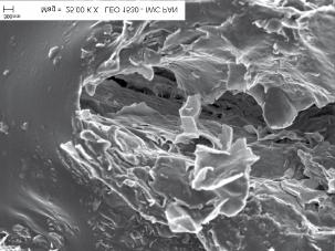 SEM photograph of the fracture surface of XNBR vulcanizate filled with modified montmorillonite N-MM/2M2HT C1 (20 phr) miącymi odznaczały się wulkanizaty karboksylowanego kauczuku