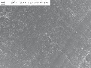 montmorylonitu naturalnego modyfikowanego solą dimetylodihydroalkiloamoniową (N-MM/2M2HT C1 ) gdzie hydroalkilo oznacza uwodornione łańcuchy alifatyczne o dominującej długości C 18 a C1 oznacza