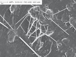 Stwierdzono iż eksfoliacja struktur minerałów przez łańcuchy elastomerów nie jest warunkiem wystarczającym do ujawnienia się efektu wzmacniającego napełniaczy.
