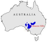 Nazwa fauny ediakarańskiej pochodzi od wzgórz Ediacara w południowej Australii, gdzie w latach 40. XX wieku geolog R.C. Sprigg odrył te skamieniałości.
