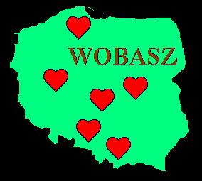 Realizacja zasad prewencji chorób układu krążenia w