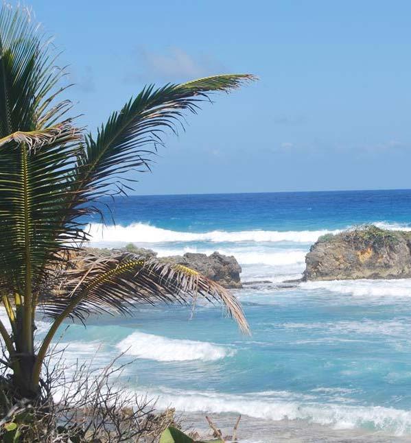 Negril WT, 26.12 PT, 29.