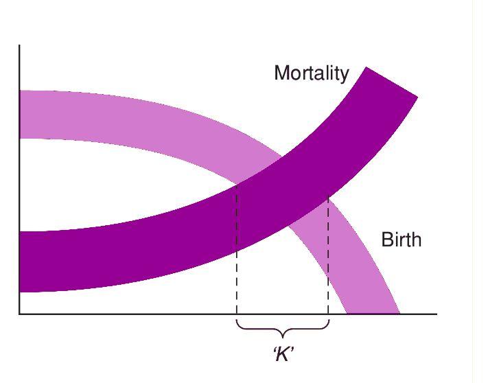 Regulacja zagęszczenia śmiertelność i rozrodczość per capita Konkurencja, poprzez wpływ na rozrodczość i śmiertelność, utrzymuje