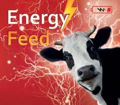 w okresie ujemnego bilansu energetycznego Opakowanie: kanister 25kg, mauzer 1300kg PRZECIWGRZYBICZNE Biamyco Ruminants Yeast a ruminants Yeast preparat wiążący mykotoksyny kombinacja absorbentów