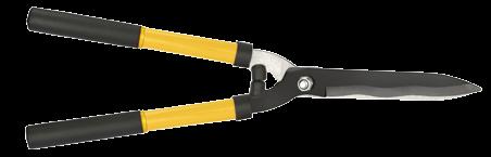 53 cm 17 lutego - Światowy