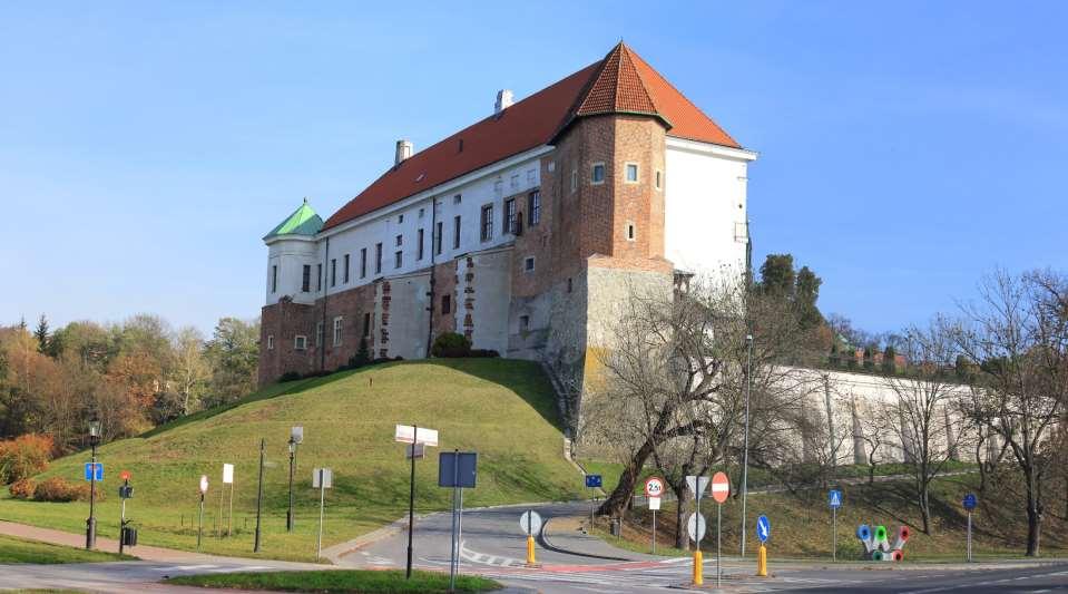 - WYKONANIE AUDYTU W TERENIE -