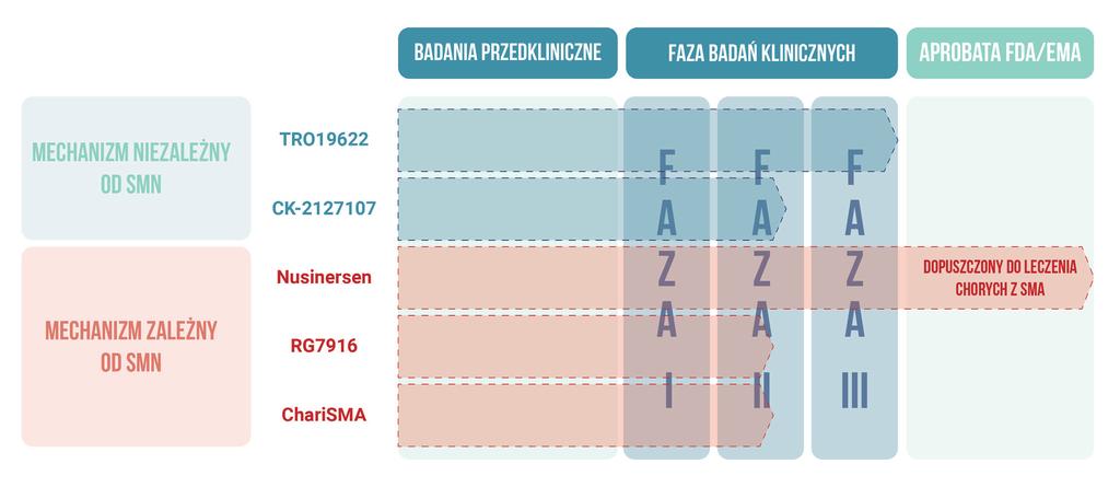 RAPORT Międzynarodowy rejestr TREAT-NMD zarządzany jest przez komitet nadzorczy, w skład którego wchodzą naukowcy, lekarze, przedstawiciele organizacji pacjenckich oraz osoby reprezentujące