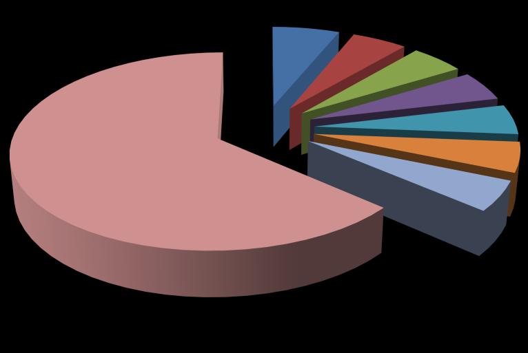 1.4. Akcjonariat Struktura akcjonariatu (powyżej 5%) Liczba akcji Liczba głosów Akcjonariat według liczby głosów [%] Akcjonariat według liczby akcji[%] Krzysztof Sowiński