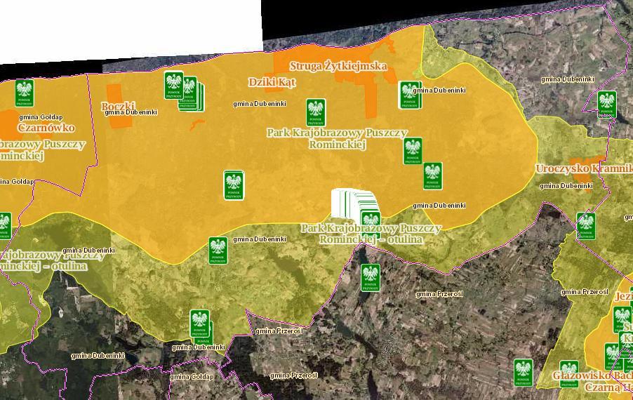 13 970 14 971 kręgu, grupa 12 szt. dąb szypułkowy Quercus roburaleja 20 szt.