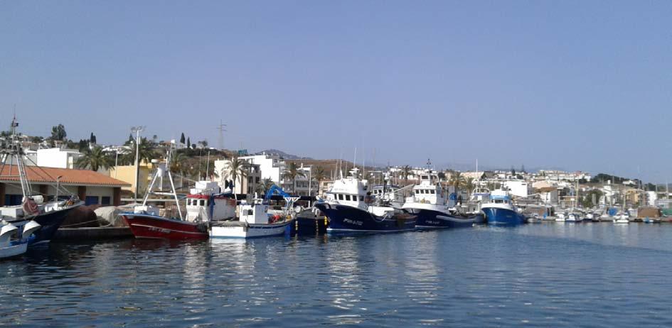 28 - id-data dwar l-attivitajiet ma tistax tiġi kontroverifikata (l-ispeċijiet u l-kwantitajiet li jinqabdu bi tqabbil maż-żona tal-qbid li jiġu kkomunikati permezz tal-vms).