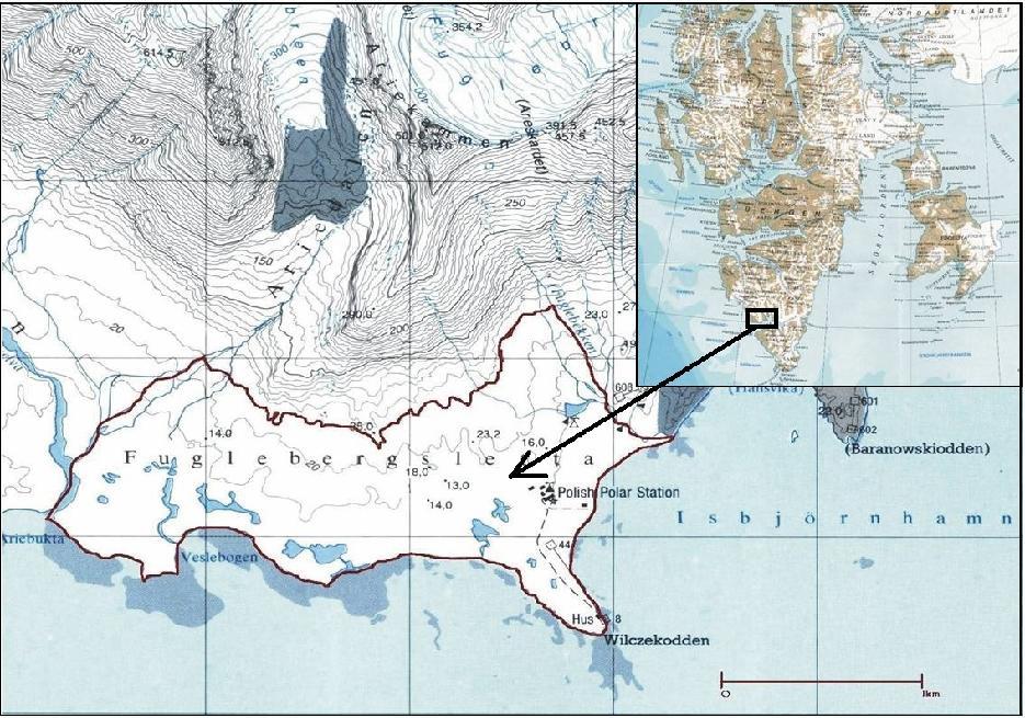 Ryc. 1. Granice i położenie równiny Fuglebergsletta (wykonano na podstawie fragmentu mapy Hans Glacier, J. Jania, L. Kolondra, J. Schroeder oraz Svalbard, NorskPolarinstitutt) Fig. 1. Boundaries and situation of Fuglebergsletta plain (done on the base of part of a map Hans Glacier, J.
