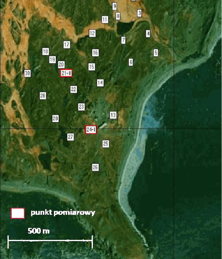 Lokalizacja punktów pomiaru grubości pokrywy śnieżnej w obrębie wschodniej części Fuglebergsletta w 2003 roku (wykonano na podkładzie mapy Werenskildbreen s Neigboeerhood, L. Kolondra).