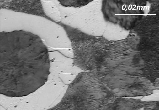 The research presented below concerns surface treatments which could be applied in case of cast iron used in agricultural machine devices. Gray irons are popular group of materials.