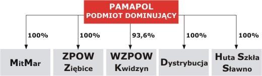 czerwca 2007 r. Po przeprowadzonym w 2012 r. gruntownym przeglądzie struktury Grupy Zarząd PAM