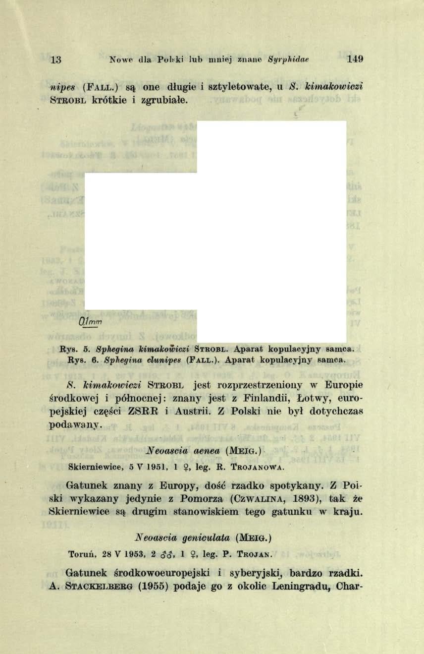 13 Nowe dla Polski lub mniej znane Syrphidae 149 nipes ( P a l l. ) są o n e d łu gie i sz ty le to w a te, u S. kimakowiczi S t r o b l k ró tk ie i zgrub iałe.