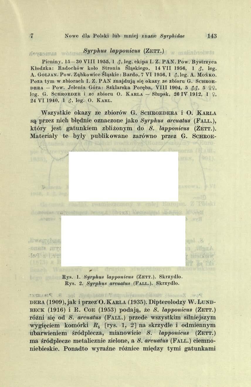 7 Nowe dla Polski lub mniej znane Syrphidae 143 / v. Syrphus lapponicus ( Z e t t. ) P ien in y, 15 30 V III 1955, 1 <J, leg. ekip a I. Z. P A N. Pow.