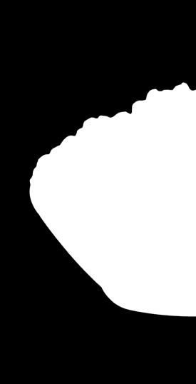 PA643120,
