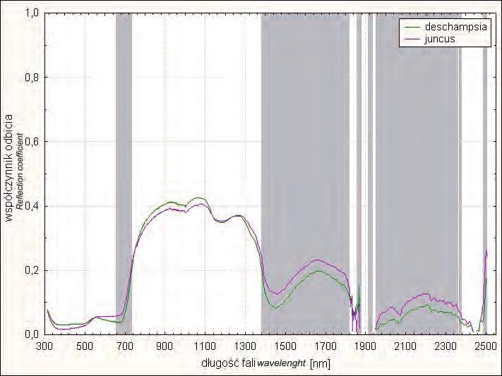 13: Statistical significance of reflectance differences for Deschampsia-Luzula species, with significance level of p<0.05 Ryc.