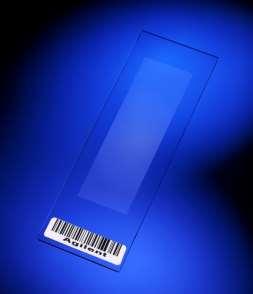 www-microarrays.