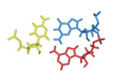 NMR determined NMR