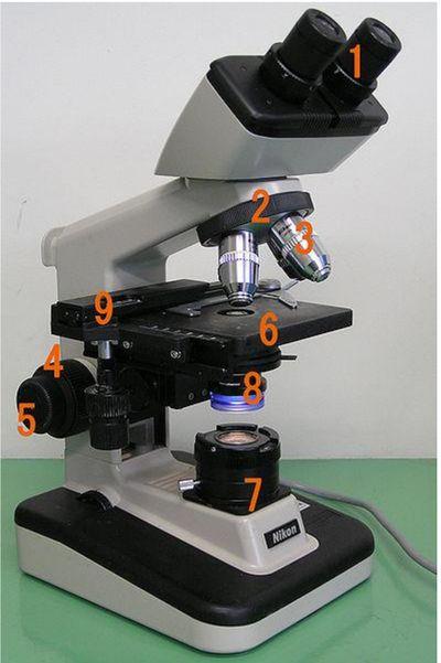 3. Astygmatyzm, dystorsja, koma. Konstrukcja mikroskopu optycznego Standardowy mikroskop optyczny z oświetleniem próbki od dołu jest przedstawiony na Rys. Figure 1. Składa się on z 1.