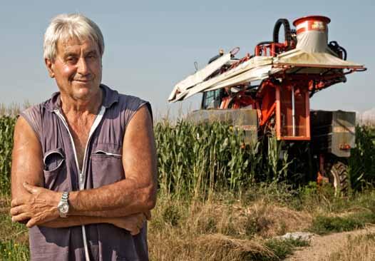 Nieopryskana kukurydza Sprzedaję wyprodukowane zboża odbiorcom z branży spożywczej: kładą oni nacisk na jakość i przewidywalność produktów,