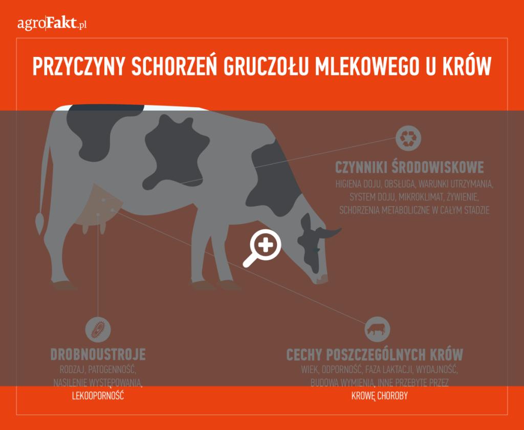 Rys. 1. Przyczyny schorzeń gruczołu mlekowego u krów. Poszczególne elementy profilaktyki mastitis powinny być specyficzne dla danego stada i obejmować szereg zależności przyczynowo-skutkowych, m.in. dotyczących wielkości stada, systemu utrzymania, higieny podczas doju.