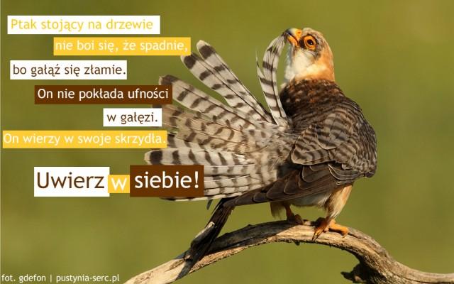 swoimi myślami, swoimi odczuciami.