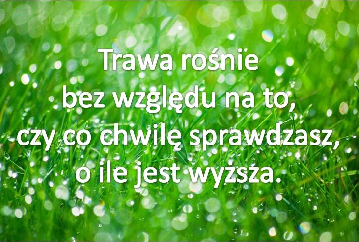 pokazywać się naraz. To jest tak jakbyś oglądała film o jakimś bohaterze i widziała jak jego życie różne się układa, w momencie gdy dokonuje on różnych wyborów.