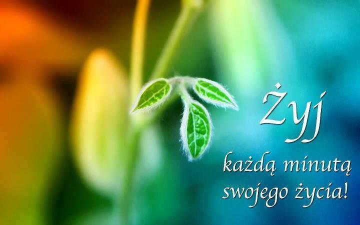 określasz jakie masz preferencje do kolejnych doświadczeń :)) Pytanie numer: 95 Słyszałam, że jeśli czegoś za mocno chcemy, za bardzo się na tym skupiamy, to generujemy opór i wtedy odpychamy to coś