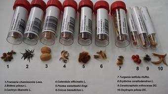 Center for Plant Genetic Resources (NCPGR) (photo I.