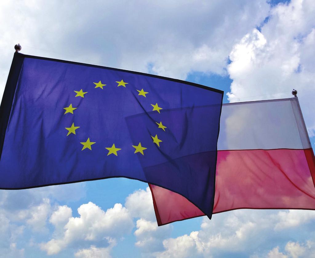 ZASADA KONKURENCYJNOŚCI Jak dobrze wybrać wykonawcę Jeśli przedsiębiorca realizuje projekt, współfinansowany z Funduszy Europejskich, musi przestrzegać pewnych zasad, czyli wytycznych, aby uzyskać