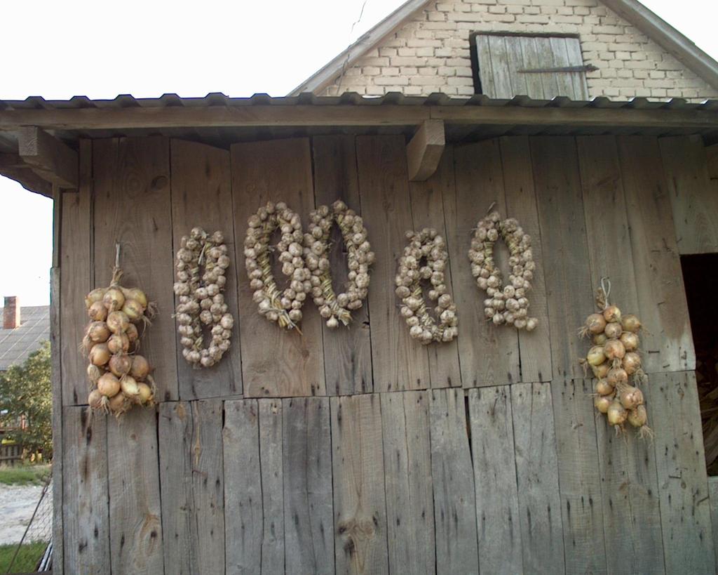 Zadania banku genów utrzymywania kolekcji identyfikacja genów krzyżowania Herbarium (kolekcja nasion,