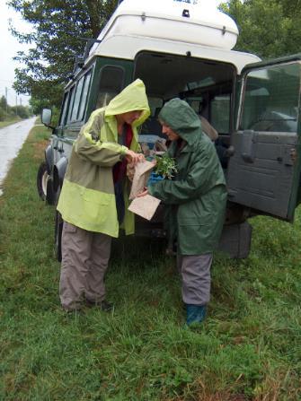 genowych zbiór ekotypów traw i innych roślin pastewnych, zbiór roślin towarzyszących uprawom, Ekspedycje