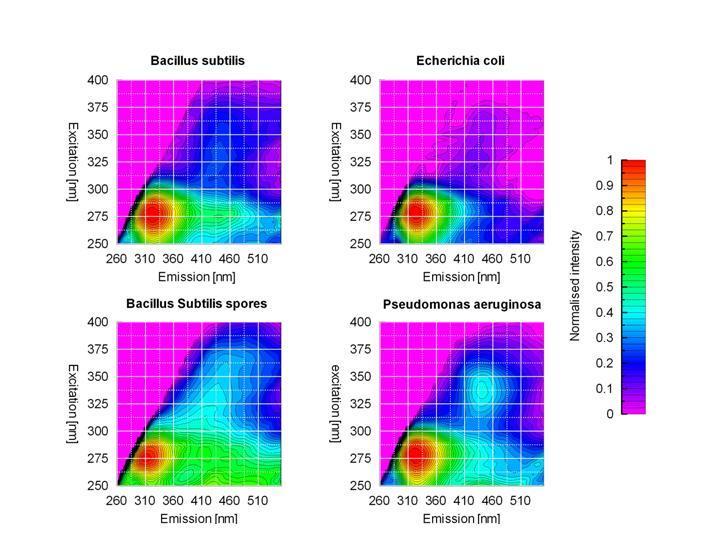 wzbudzenie [nm] wzbudzenie [nm] Lidar fluorescencyjny Sygnatura spektralna fluorescencji każdego