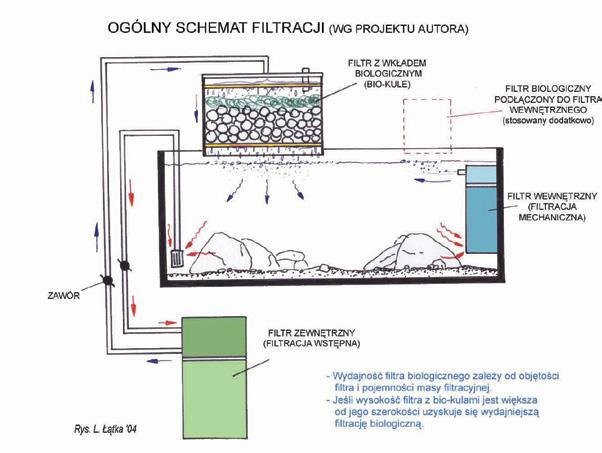 Parametry wody i filtracja Wymagania omawianej grupy ryb pod względem parametrów fizyko- -chemicznych wody nie odbiegają od preferencji innych gatunków z jeziora Tanganika.